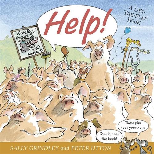 Help!: Lift-the-Flap Book (Paperback)