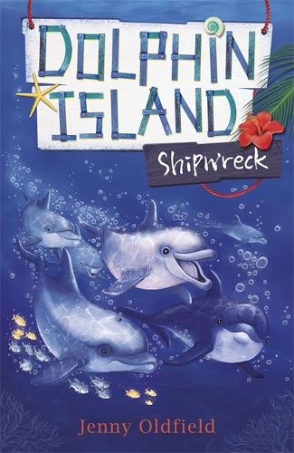 Dolphin Island: Shipwreck: Book 1 - Dolphin Island (Paperback)