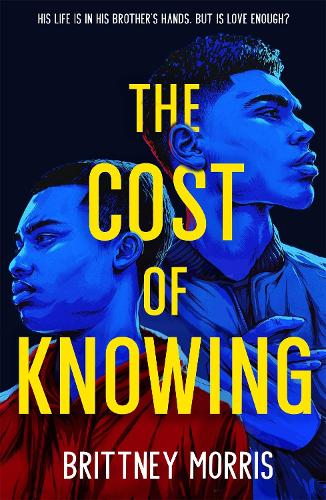 The Cost of Knowing (Paperback)