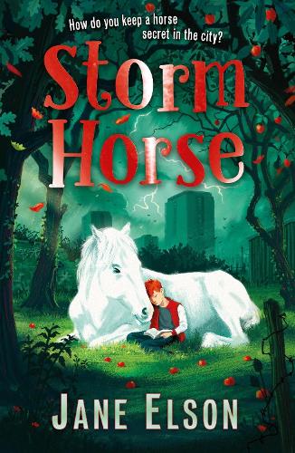Storm Horse (Paperback)