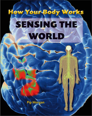 Sensing the World - How Your Body Works 6 (Hardback)