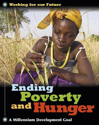Ending Poverty and Hunger - Working for Our Future (Paperback)