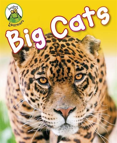 Leapfrog Learners: Big Cats - Leapfrog Learners (Paperback)