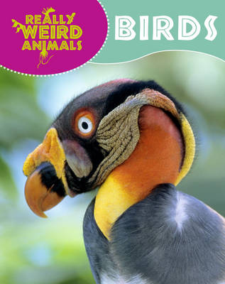 Birds - Really Weird Animals 2 (Hardback)