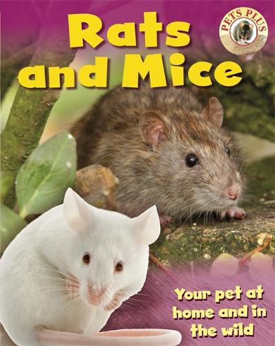 Rats and Mice - Pets Plus (Hardback)