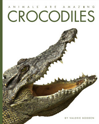 Crocodiles - Animals are Amazing (Hardback)