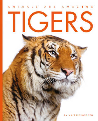 Tigers - Animals are Amazing (Hardback)