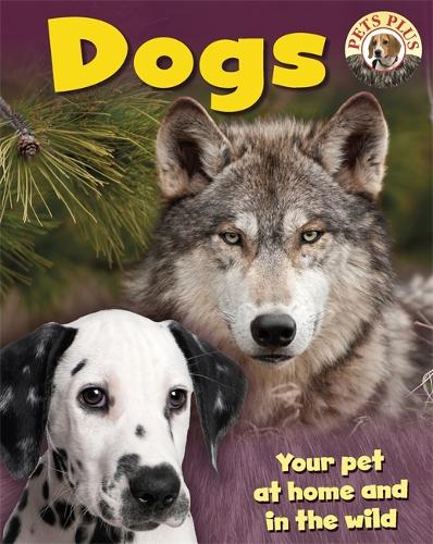 Dogs - Pets Plus (Paperback)