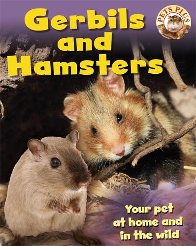 Gerbils and Hamsters - Pets Plus (Paperback)