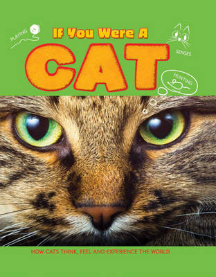 Cat - If You Were a 1 (Hardback)