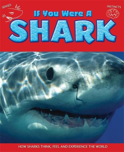 If You Were a Shark - If You Were a (Hardback)