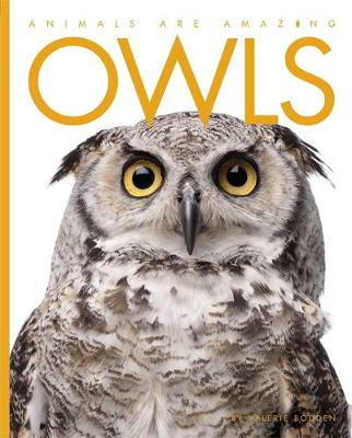 Owls - Animals are Amazing 9 (Hardback)