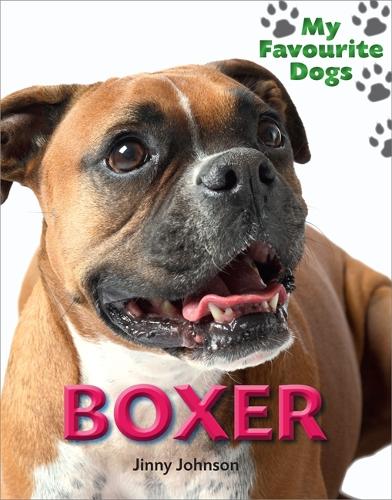 Boxer - My Favourite Dogs (Hardback)