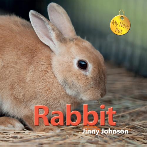 My New Pet: Rabbit - My New Pet (Hardback)
