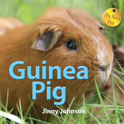My New Pet: Guinea Pig - My New Pet (Hardback)