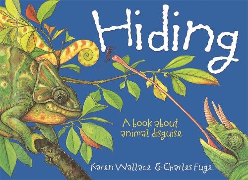 Wonderwise: Hiding: A book about animal disguises - Wonderwise (Paperback)