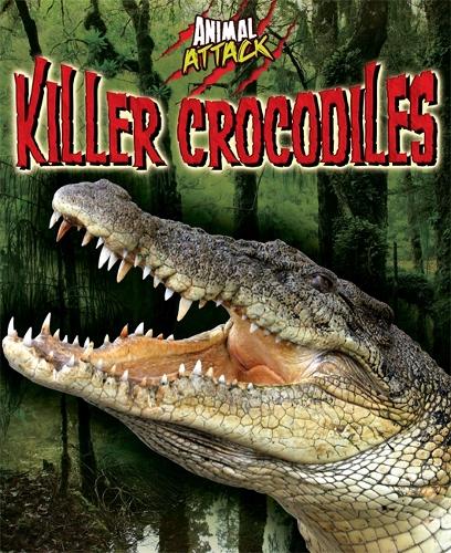 Animal Attack: Killer Crocodiles - Animal Attack (Paperback)