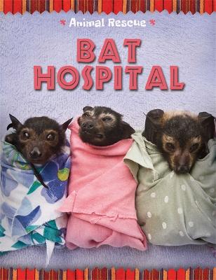Animal Rescue: Bat Hospital - Animal Rescue (Hardback)
