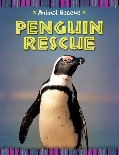 Animal Rescue: Penguin Rescue - Animal Rescue (Hardback)