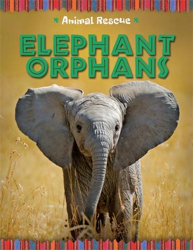 Animal Rescue: Elephant Orphans - Animal Rescue (Hardback)
