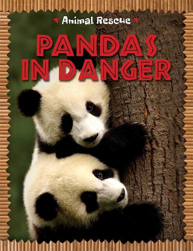 Animal Rescue: Pandas in Danger - Animal Rescue (Hardback)