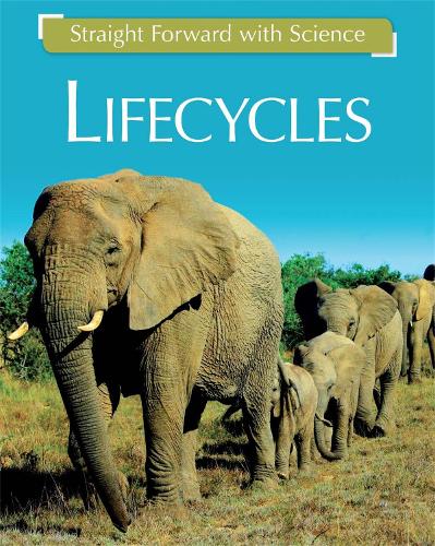 Straight Forward with Science: Life Cycles - Straight Forward with Science (Paperback)