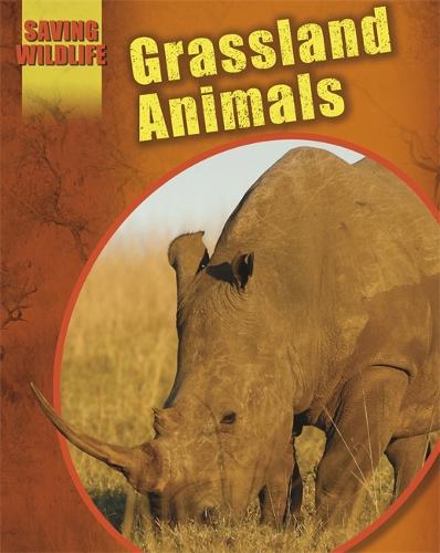 Saving Wildlife: Grassland Animals - Saving Wildlife (Paperback)