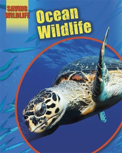 Saving Wildlife: Ocean Wildlife - Saving Wildlife (Paperback)