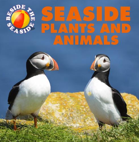 Beside the Seaside: Seaside Plants and Animals - Beside the Seaside (Paperback)