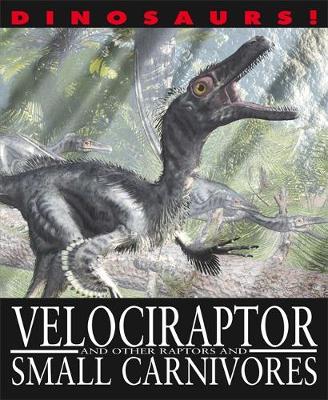 Velociraptor and Other Raptors and Small Carnivores - Dinosaurs! No. 2 (Paperback)