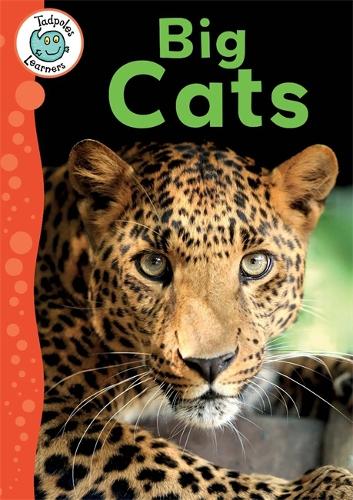 Tadpoles Learners: Big Cats - Tadpoles Learners (Paperback)