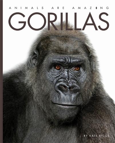 Animals Are Amazing: Gorillas - Animals Are Amazing (Paperback)