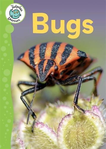 Tadpoles Learners: Bugs - Tadpoles Learners (Paperback)