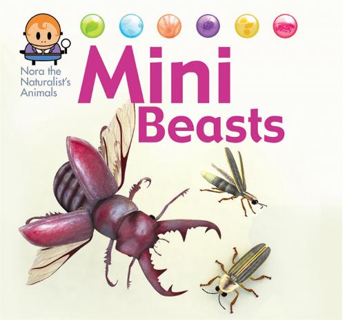Nora the Naturalist's Animals: Minibeasts - Nora the Naturalist's Animals (Hardback)