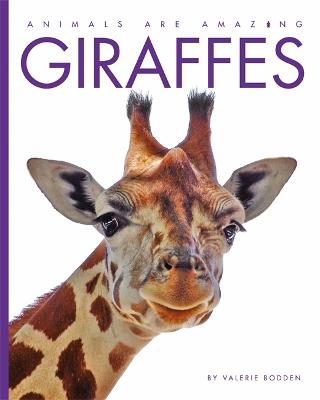 Animals Are Amazing: Giraffes - Animals Are Amazing (Hardback)