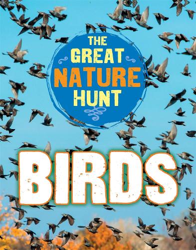 The Great Nature Hunt: Birds - The Great Nature Hunt (Hardback)