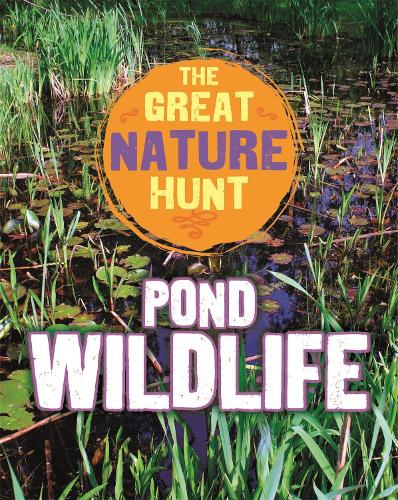The Great Nature Hunt: Pond Wildlife - The Great Nature Hunt (Paperback)