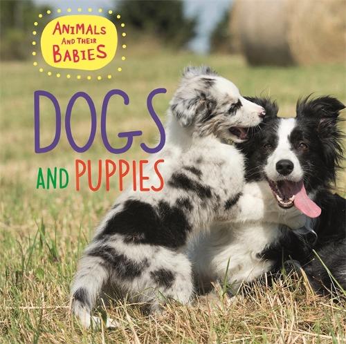 Animals and their Babies: Dogs & puppies - Animals and their Babies (Hardback)