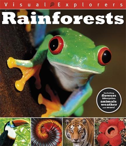 Visual Explorers: Rainforests - Visual Explorers (Paperback)