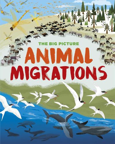 The Big Picture: Animal Migrations - The Big Picture (Paperback)
