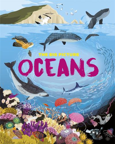 The Big Picture: Oceans - The Big Picture (Paperback)