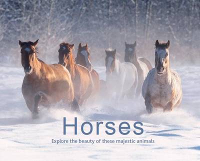 Horses (Hardback)