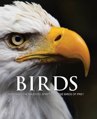 Spirit of Birds of Prey (Hardback)