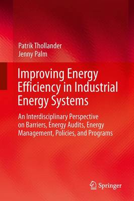 Improving Energy Efficiency in Industrial Energy Systems: An Interdisciplinary Perspective on Barriers, Energy Audits, Energy Management, Policies, and Programs (Paperback)