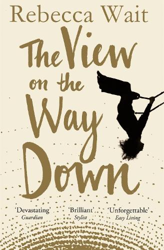 The View on the Way Down (Paperback)