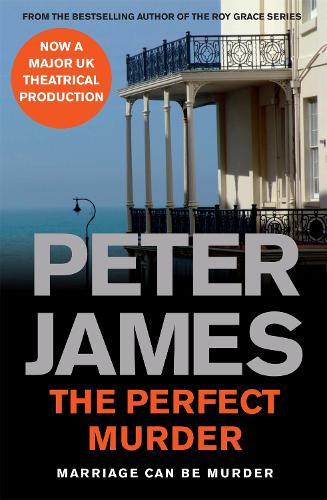 The Perfect Murder (Paperback)