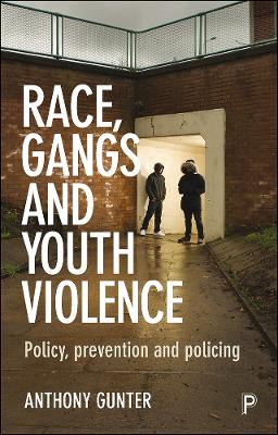 Race, gangs and youth violence: Policy, prevention and policing (Paperback)