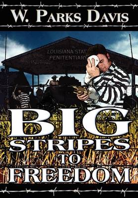 Big Stripes to Freedom (Hardback)