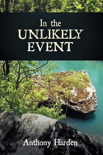 In the Unlikely Event (Hardback)