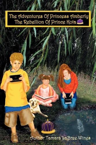 The Adventures of Princess Amberly: The Rebellion of Prince Kota (Paperback)